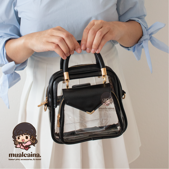 The Clear Ita Bag