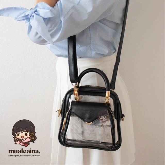 The Clear Ita Bag