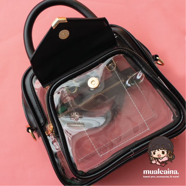 The Clear Ita Bag