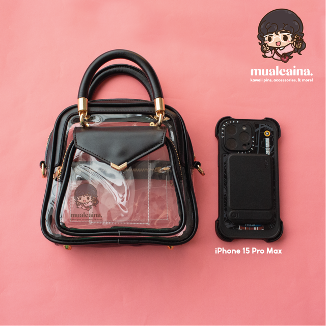 The Clear Ita Bag