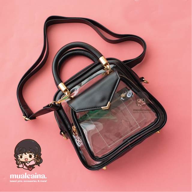 The Clear Ita Bag